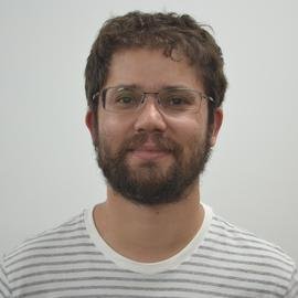 Prof. Dr. Haroldo Valentin Ribeiro